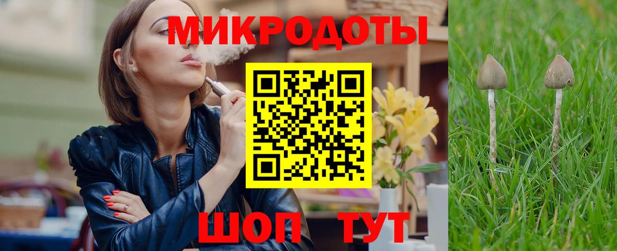 Псилоцибиновые грибы Cubensis Россия