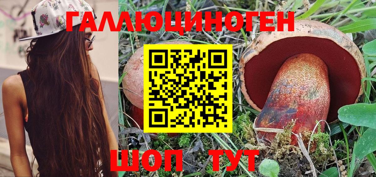 Галлюциногенные грибы Magic Shrooms  Вход с VPN  Россия 